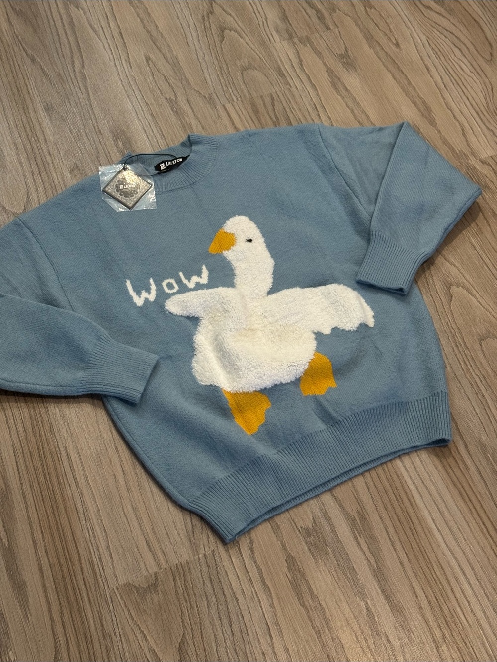 Laixton Graphic Oversized Sweater Unisex Knit pullover medium cottagecore